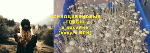 стаф Новый Уренгой
