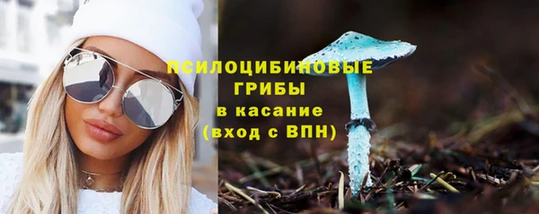 стаф Новый Уренгой