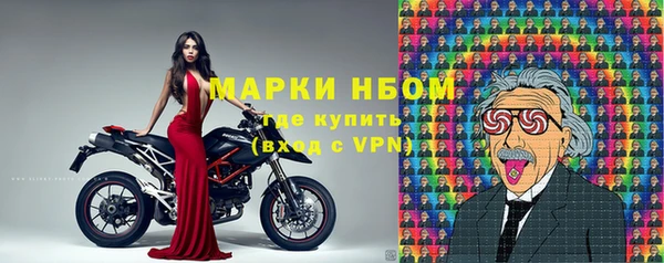 стаф Новый Уренгой