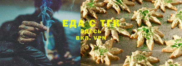 стаф Новый Уренгой