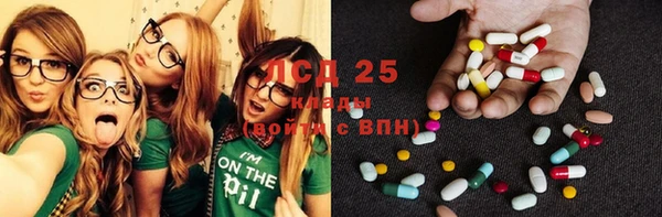 стаф Новый Уренгой