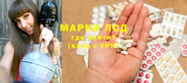 стаф Новый Уренгой