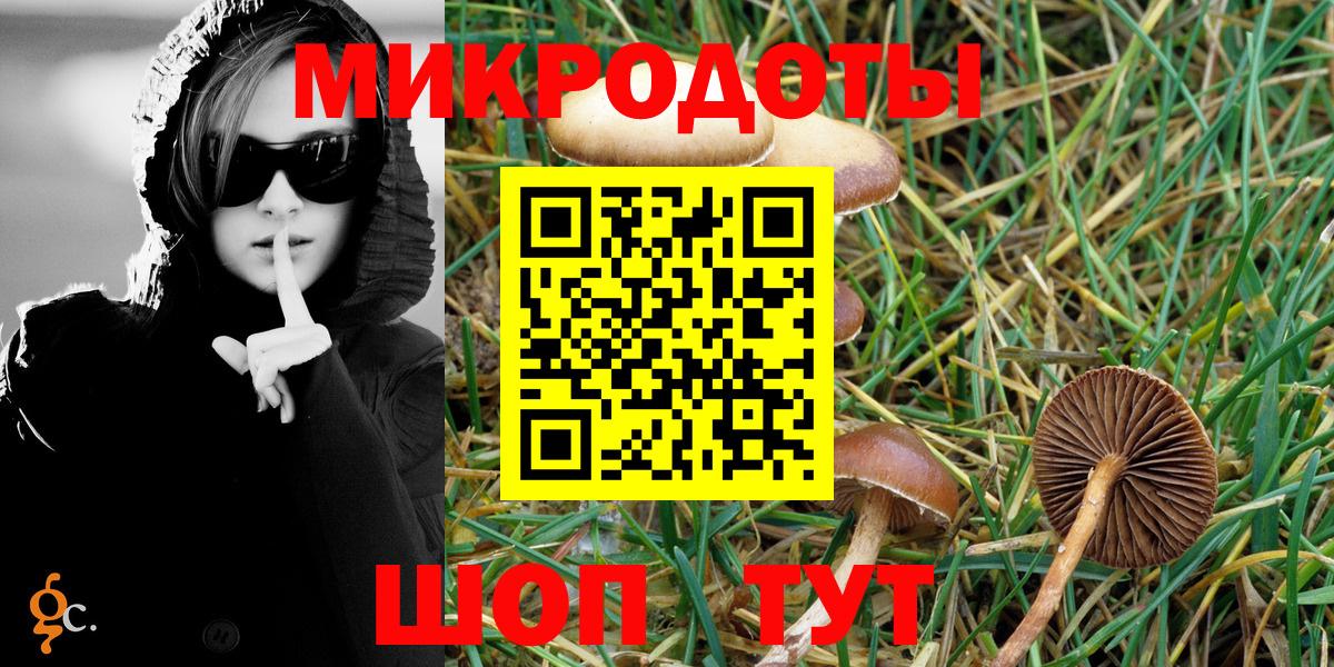 Большой Камень  Галлюциногенные грибы Psilocybine cubensis  купить наркотик  Псилоцибиновые грибы Psilocybe  Вход с VPN 