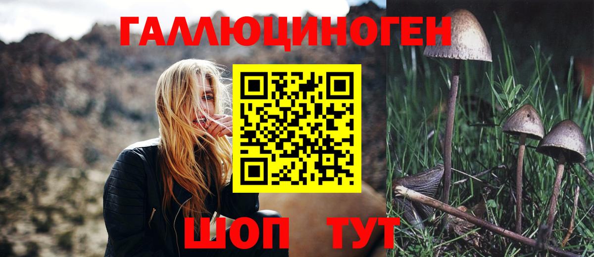 Галлюциногенные грибы прущие грибы Большой Камень