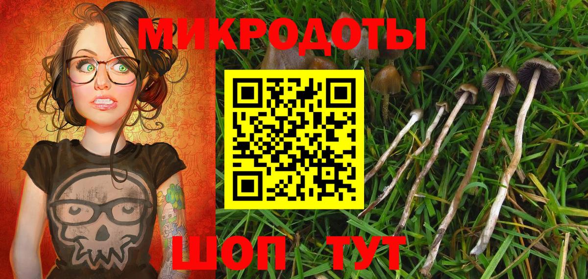 Псилоцибиновые грибы Cubensis  Большой Камень 